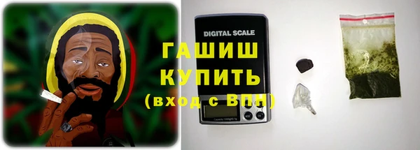 индика Алзамай