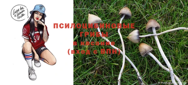 марки lsd Абинск